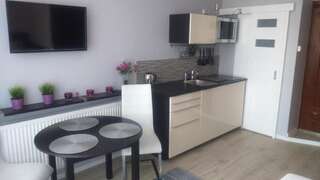 Апарт-отели 4Seasons﻿ Apartments Cracow Краков Стандартный двухместный номер с 1 кроватью-13