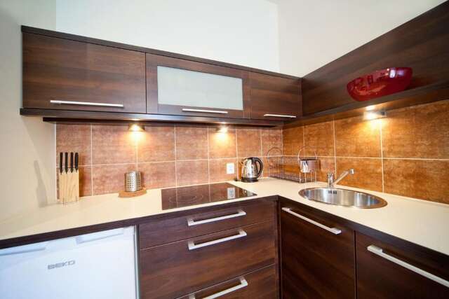 Апарт-отели 4Seasons﻿ Apartments Cracow Краков-72